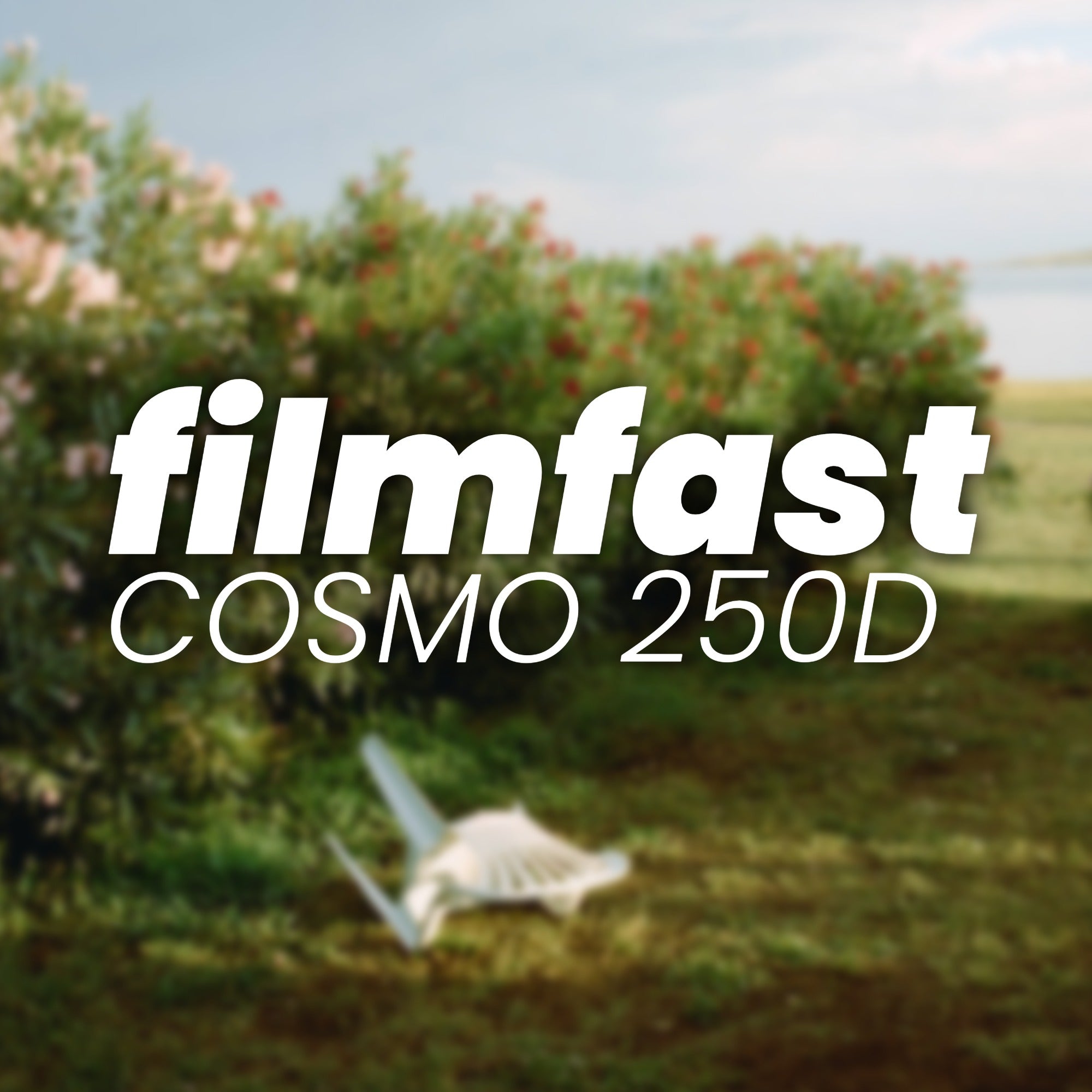 Cosmo 250D