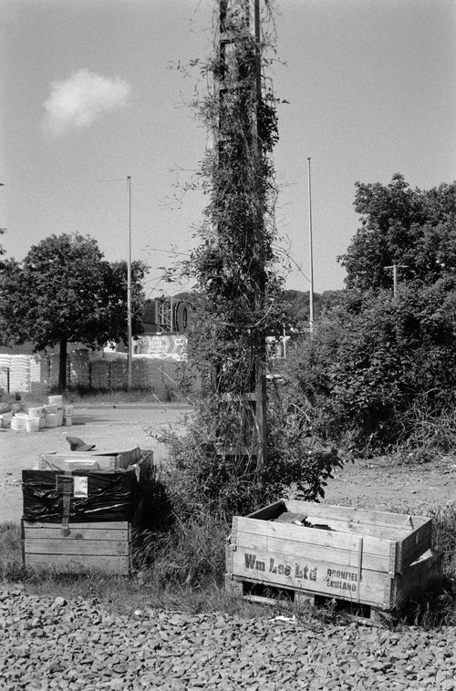 DOPPELKORN 250