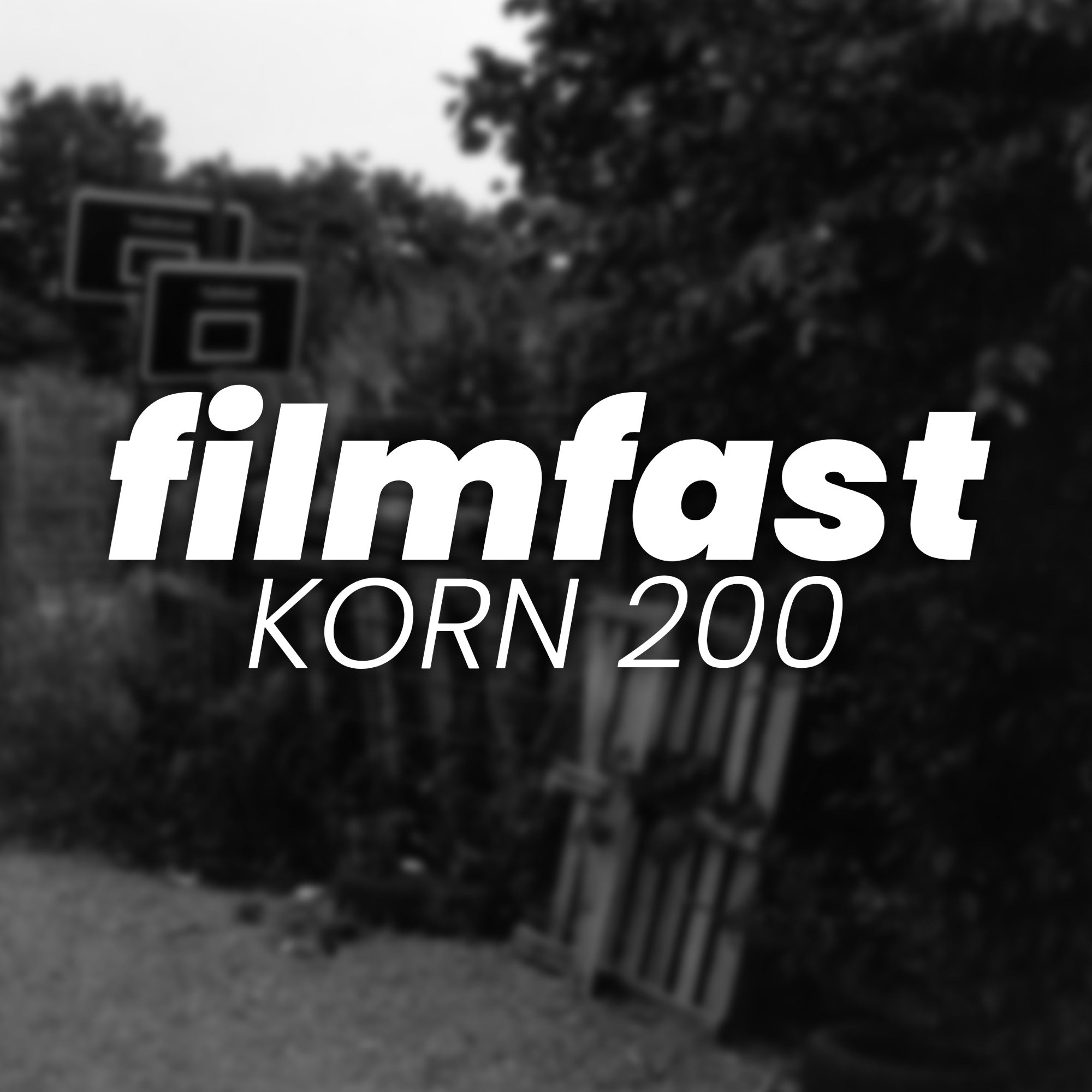 Korn 200