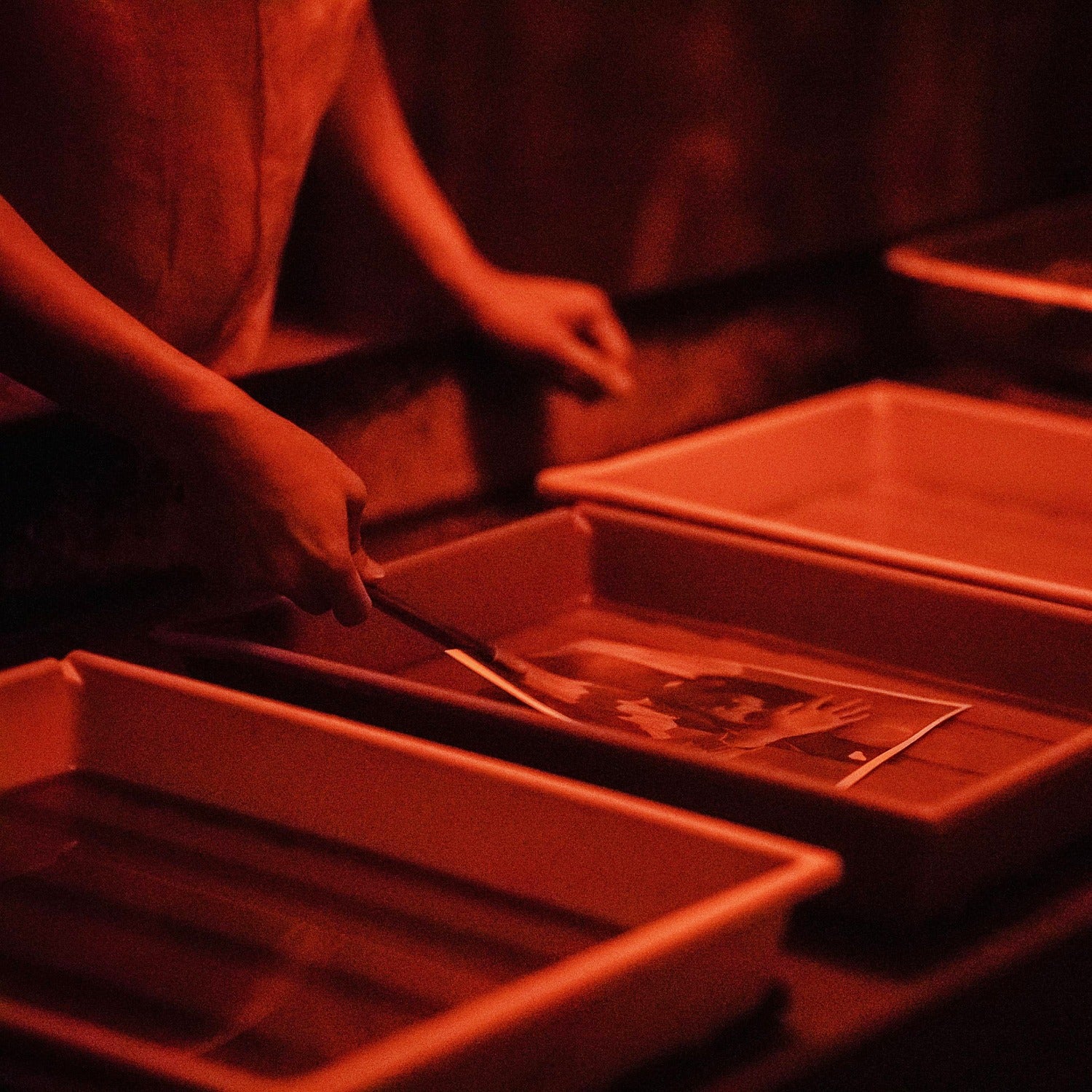 Anfänger Workshop: erster eigener S/W Abzug