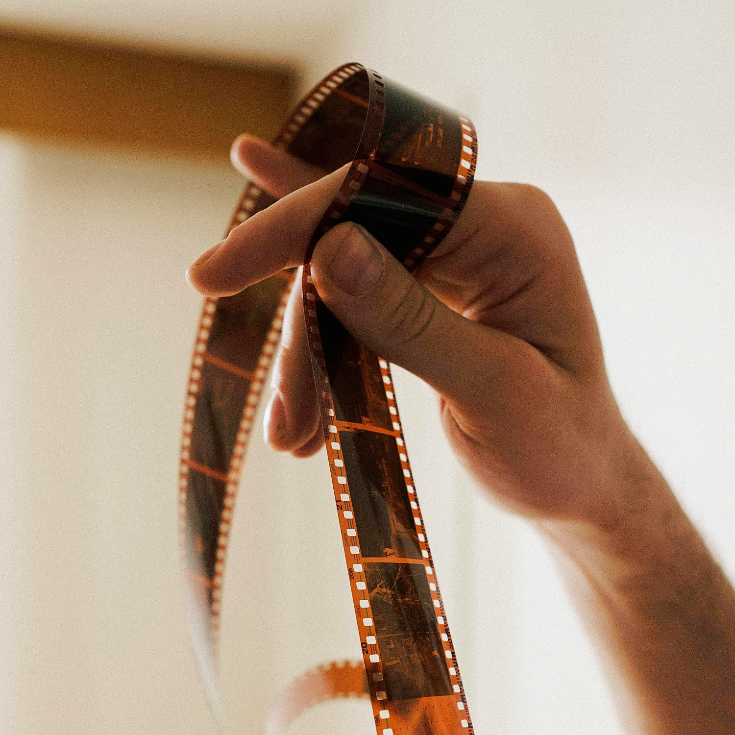 Darkroom Workshop: Farbfilm entwickeln